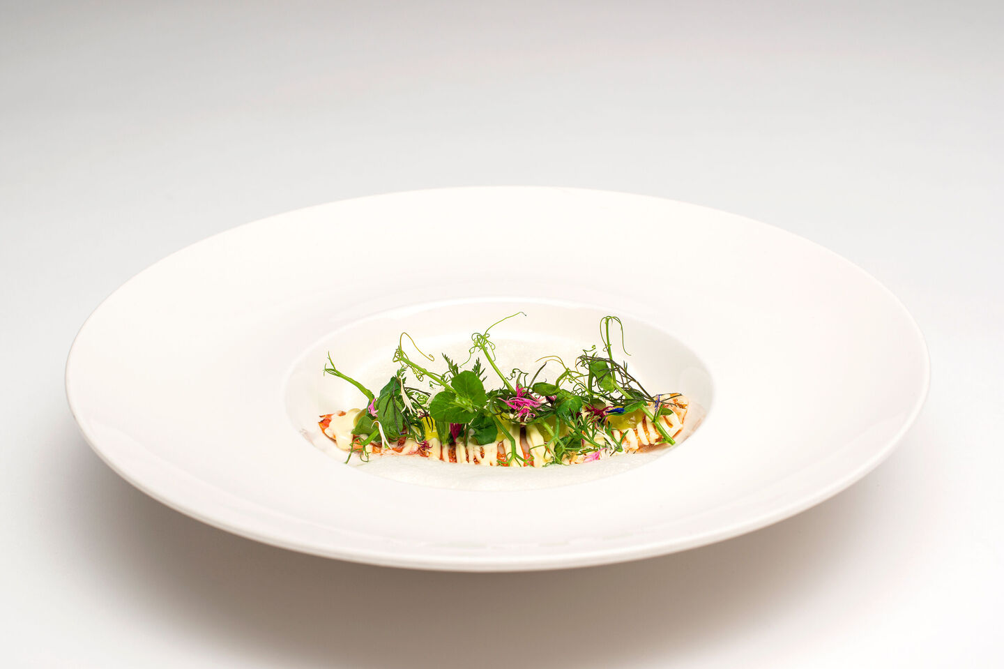 Wunderbar angerichtete Meerbarbe mit Jalapeno und Essig.