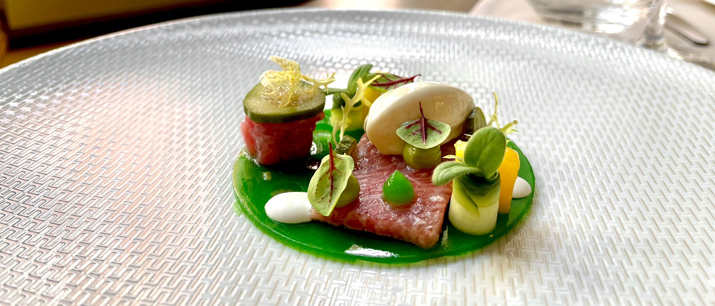 Balfegó-Tuna | Gartengurke