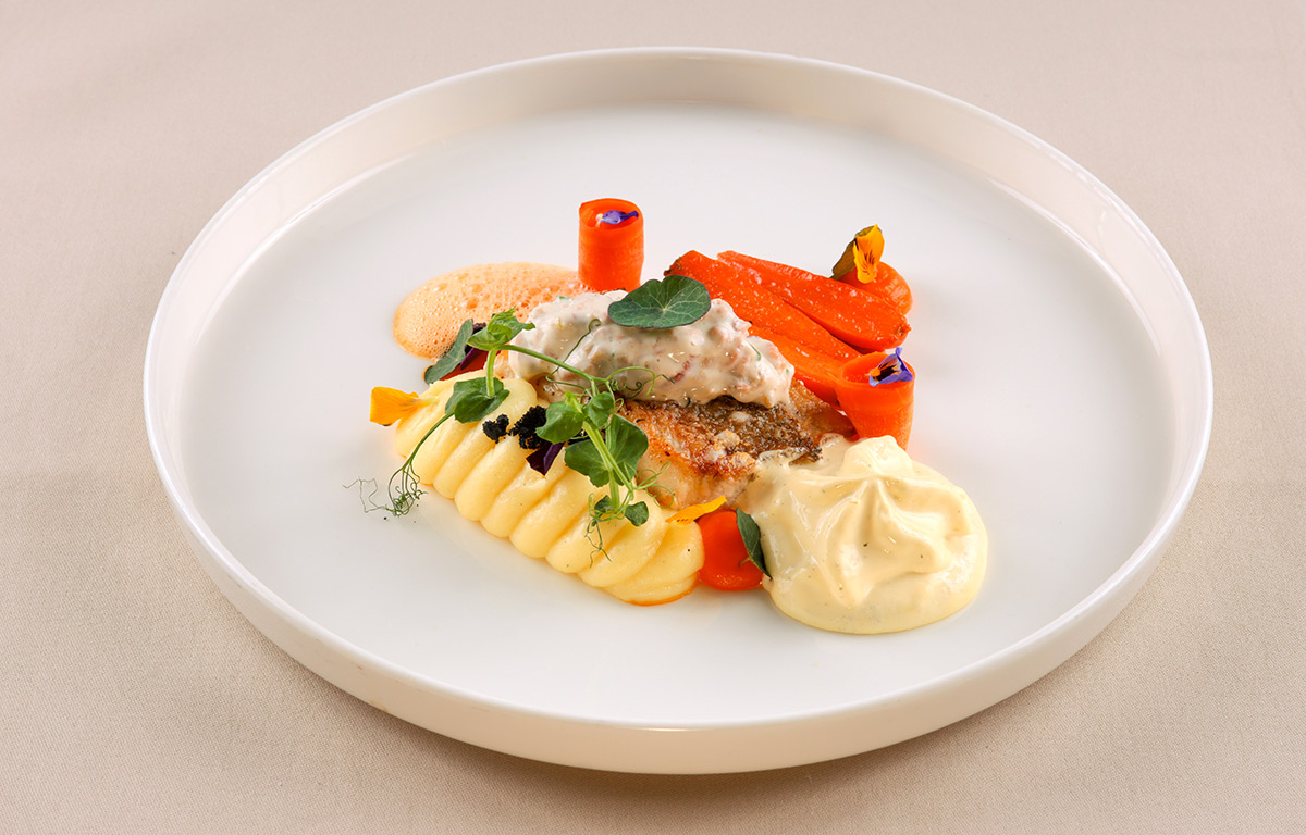Red Snapper-Filet mit Nordseekrabben, Möhren, Kartoffelbordüre und Krustentierschaum.