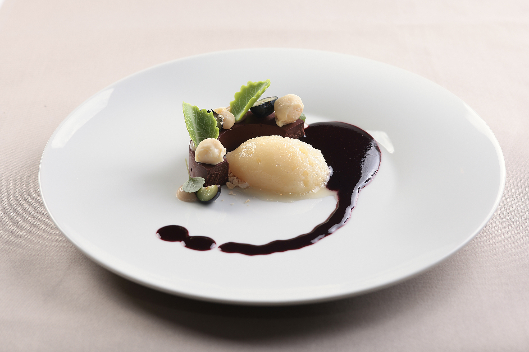 Dessert mit dunkler Schokoladensoße, cremigem Sorbet, harmonisch abgerundet.